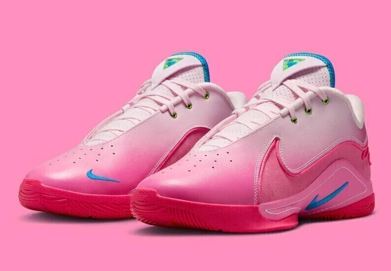 Lebron 22 "I Promise"