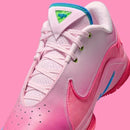 Lebron 22 "I Promise"