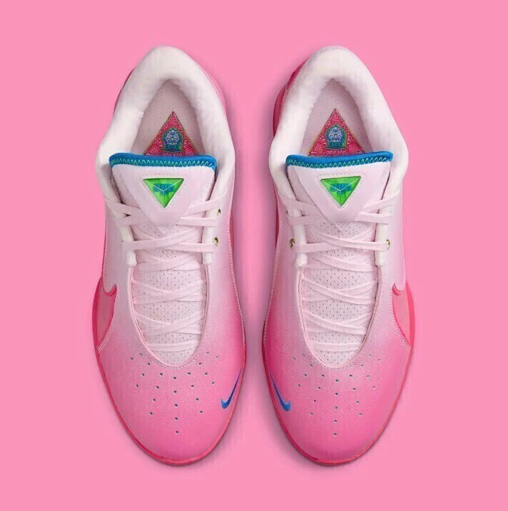 Lebron 22 "I Promise"