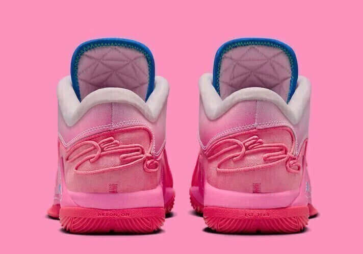 Lebron 22 "I Promise"