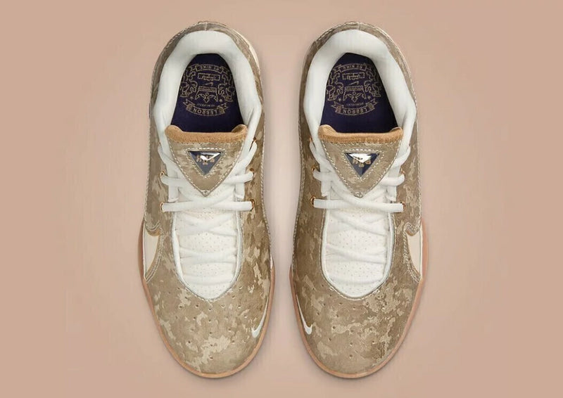 LeBron 22 'King of the Court'